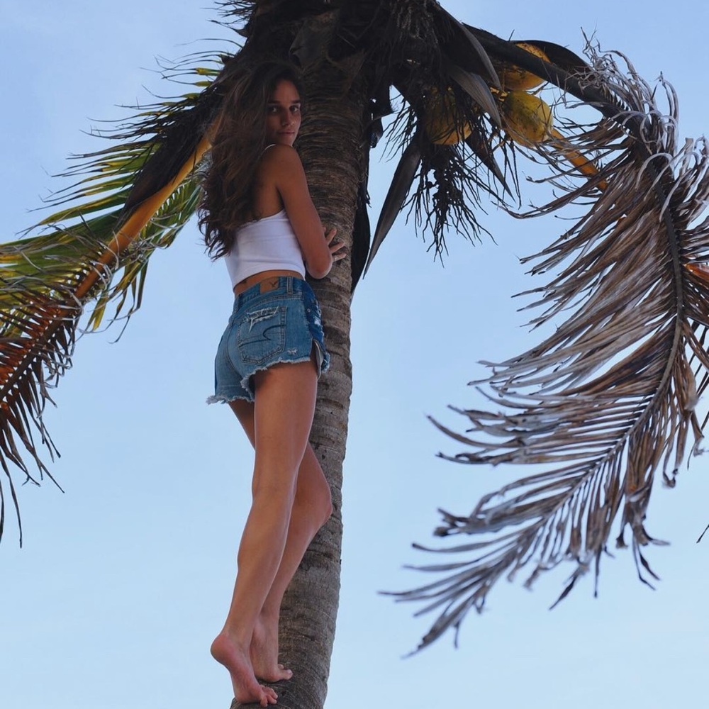 Women's Distressed Ripped Denim Jean Shorts